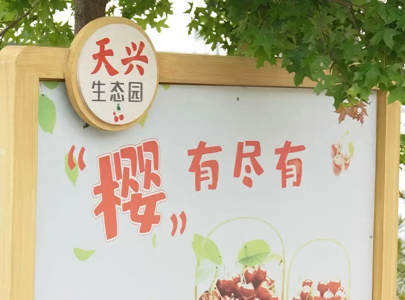 天兴生态园品牌物料设计案例